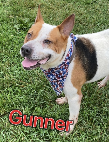 Photo of Gunner
