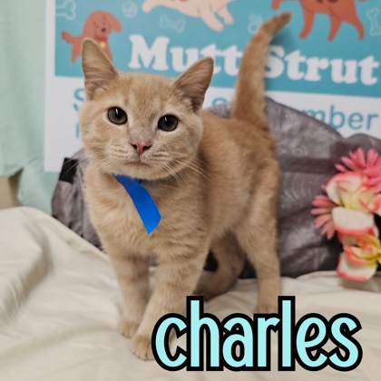 Photo of Charles
