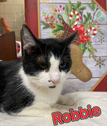 Photo of Robbie