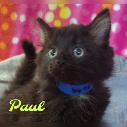 Photo of Paul