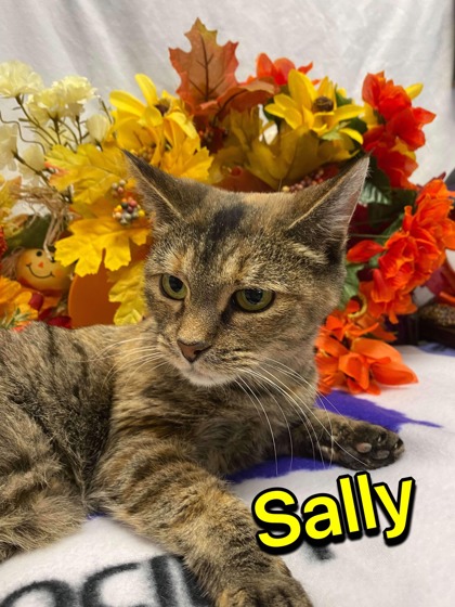 Photo of Sally