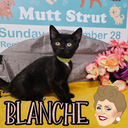 Photo of Blanche