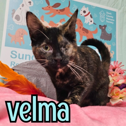 Photo of Velma