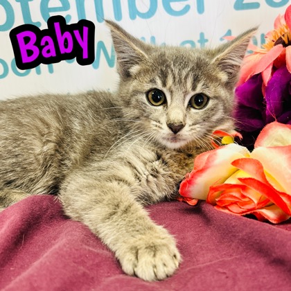 Photo of Baby
