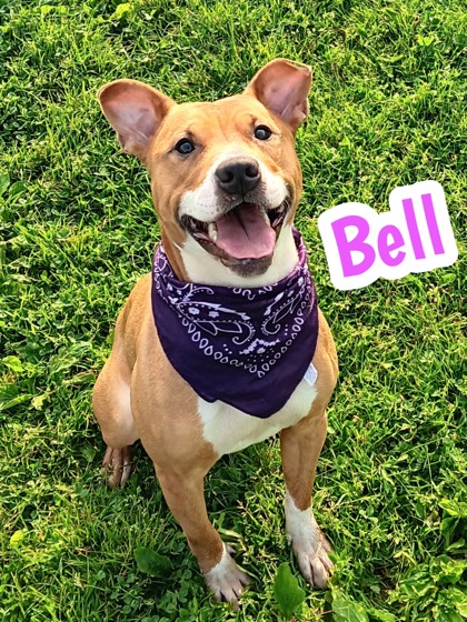 Photo of Bell
