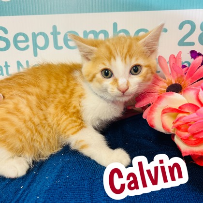 Photo of Calvin