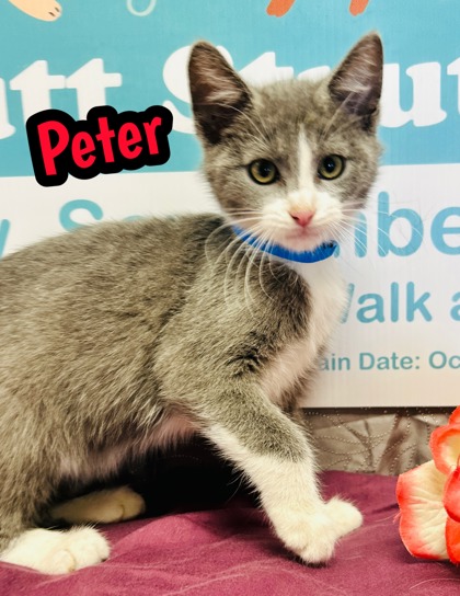 Photo of Peter