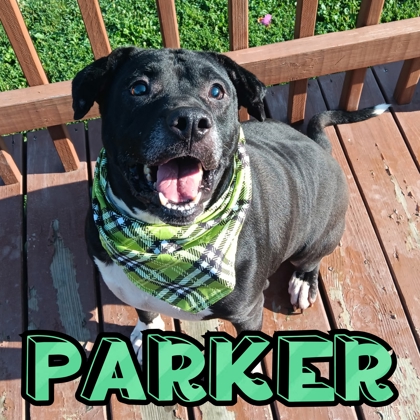 Photo of Parker