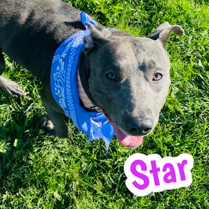 Photo of Star