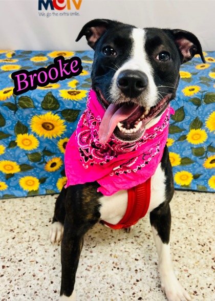 Photo of Brooke