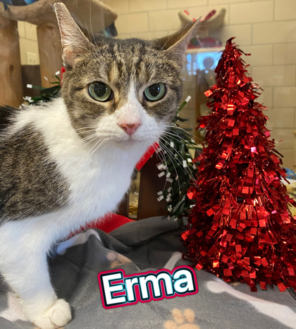 Photo of Erma