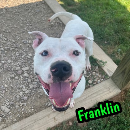 Photo of Franklin