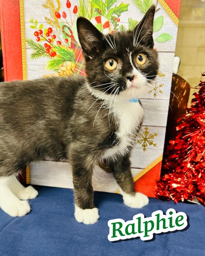 Photo of Ralphie