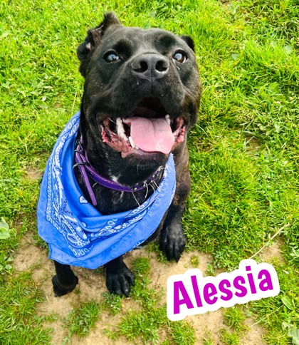 Photo of Alessia