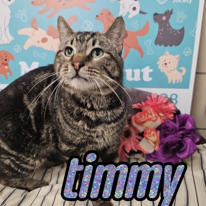 Photo of Timmy