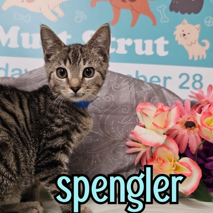 Photo of Spengler