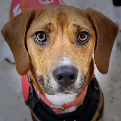 Photo of Cisco
