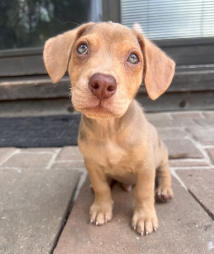 Photo of Jude