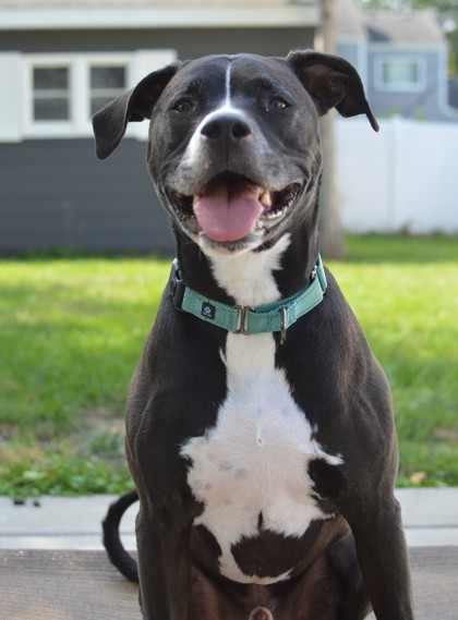 Photo of Coal