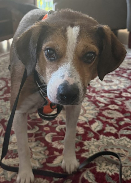 Photo of Bob