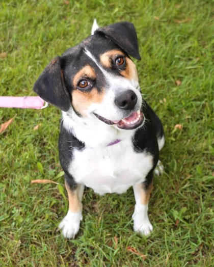 Photo of Shyla