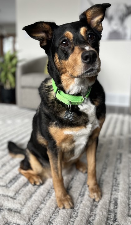 Photo of Izzy