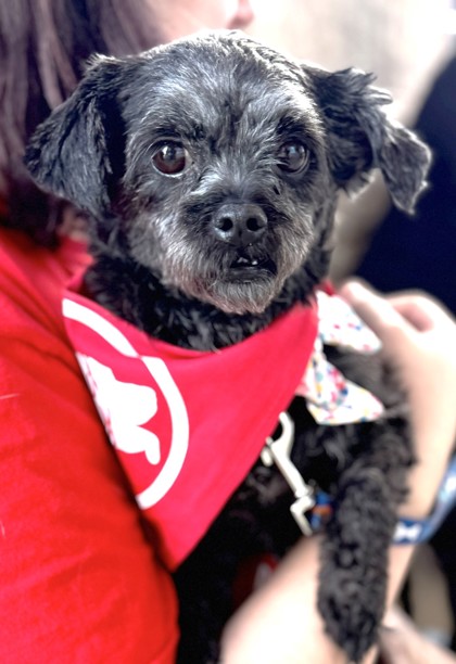 Photo of Nyla