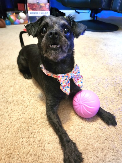 Photo of Nyla