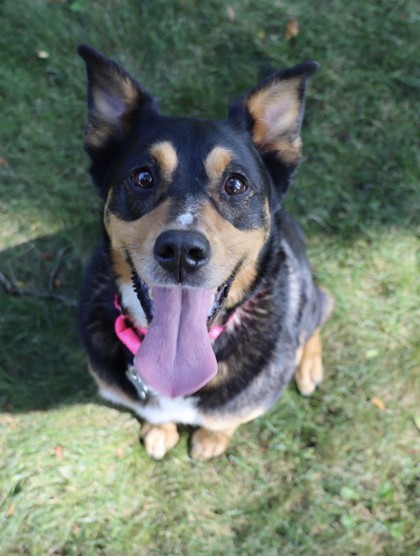 Photo of Izzy
