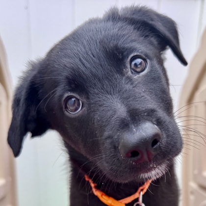 Photo of McGee