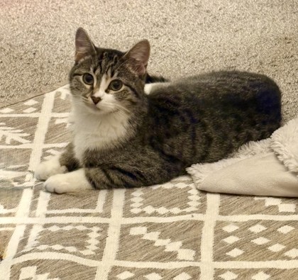 Jackie Skellington photo