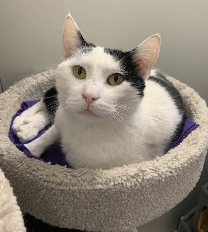 Thommas (Tony) photo