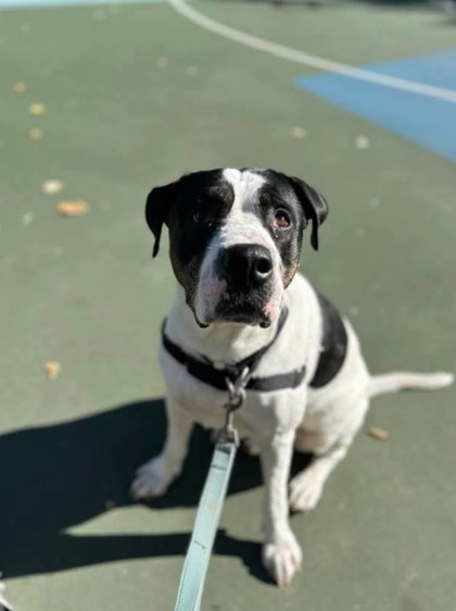 Max