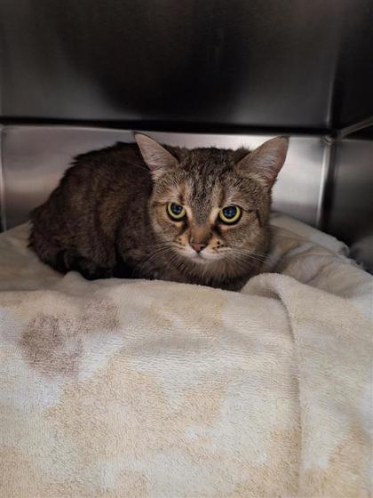 2000380263 2000380263