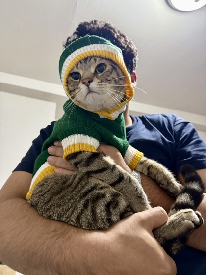 Henrietta (aka Henry)