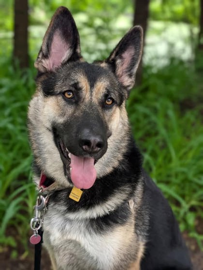 Luna