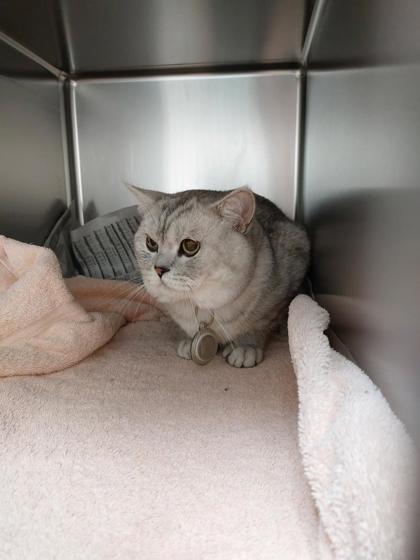 Richmond - Joliette BACON