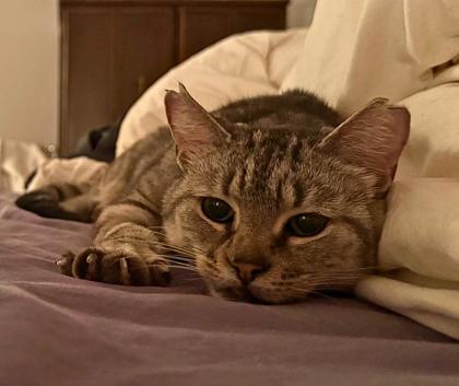 Beatrice