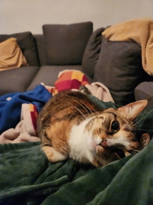 Freyja