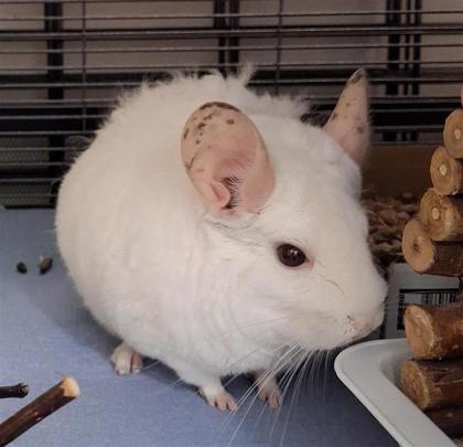 Maru