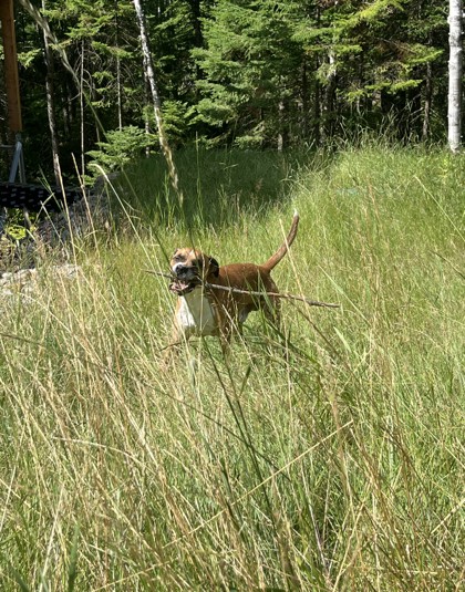 Photo 3