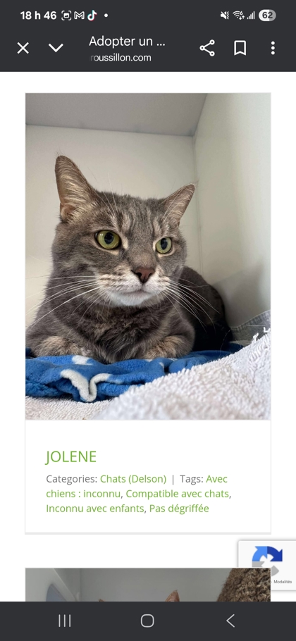 Jolene