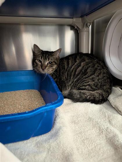 2000380320 2000380320