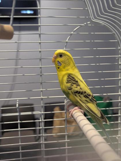 Chloe