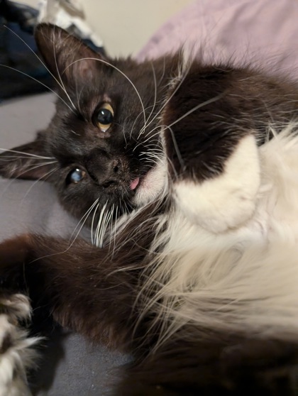 Melvin