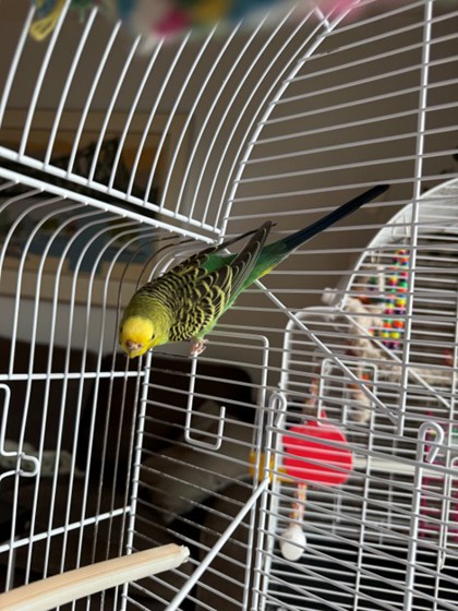 Photo 3