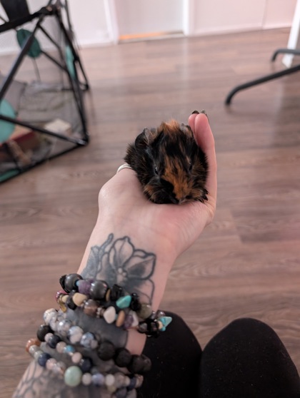 Georgette (Bébé Foncé)