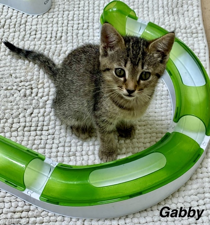 Gabby photo