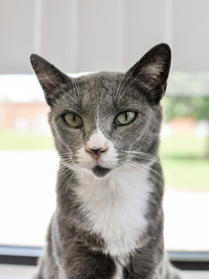 Penelope photo