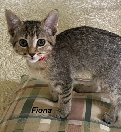 Fiona photo